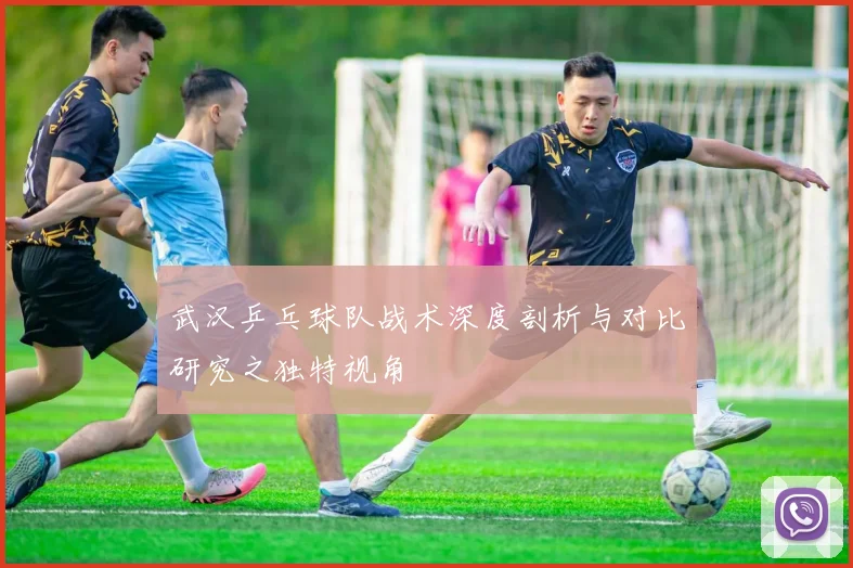 武汉乒乓球队战术深度剖析与对比研究之独特视角