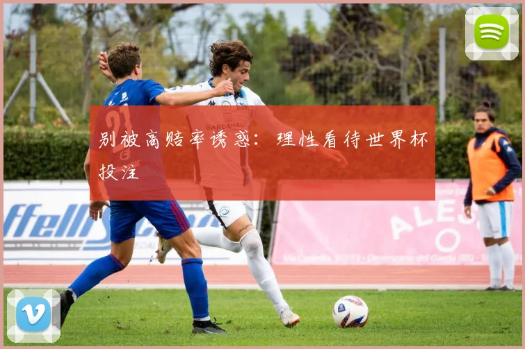 别被高赔率诱惑：理性看待世界杯投注