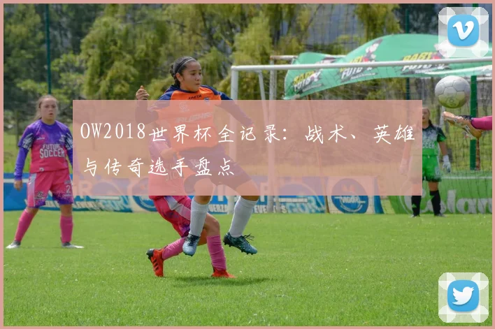 OW2018世界杯全记录：战术、英雄与传奇选手盘点