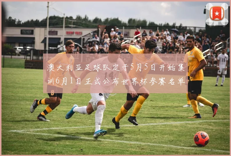 澳大利亚足球队定于5月5日开始集训6月1日正式公布世界杯参赛名单